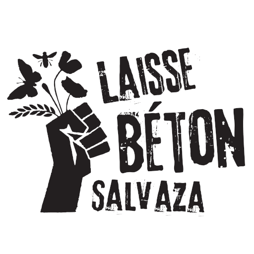 Le logo de Laisse Béton Salvaza